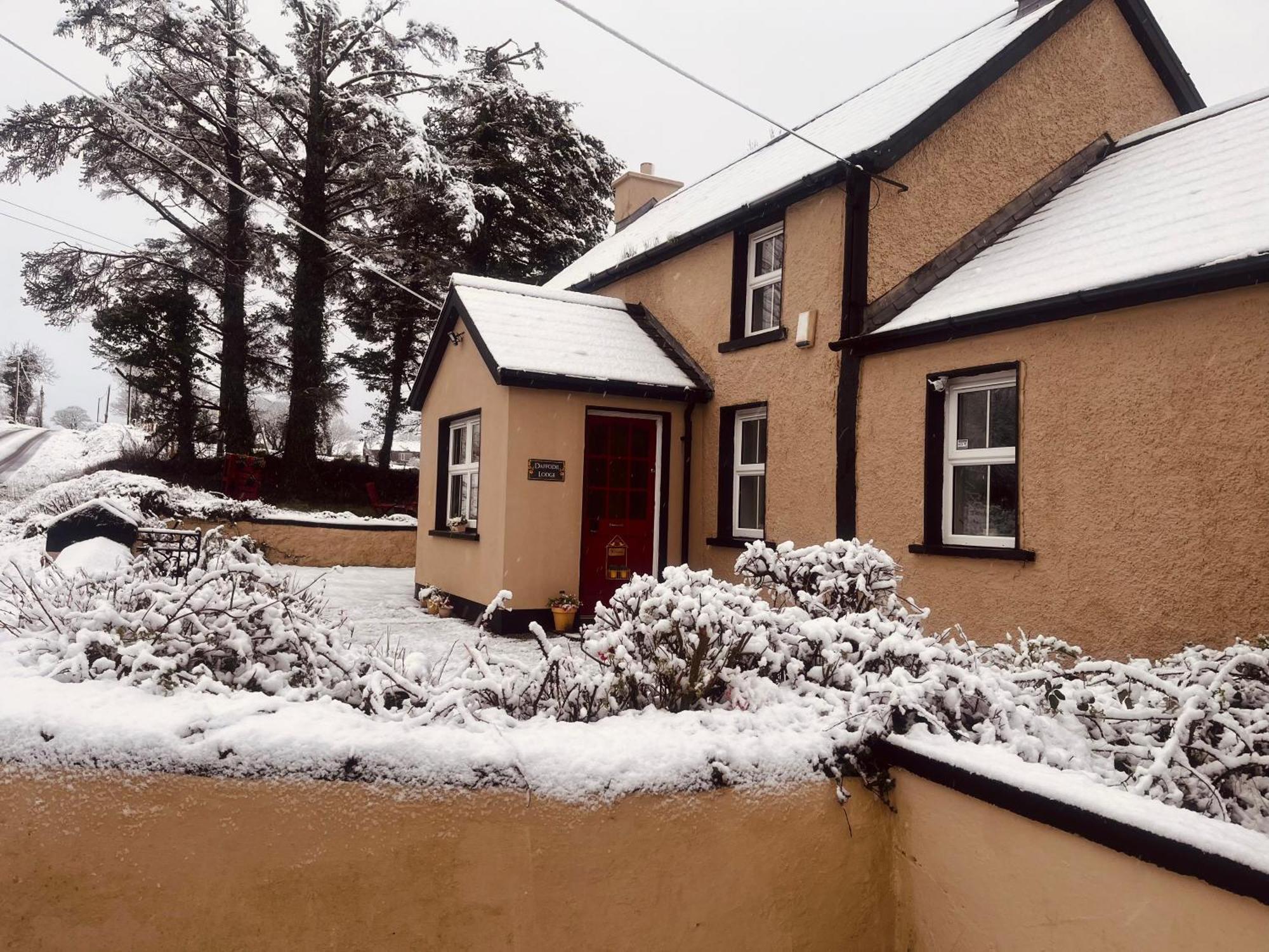Daffodil Lodge Sligo Kültér fotó